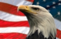 Eagle image