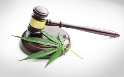 An Explanation of California’s Marijuana Laws After Prop 64